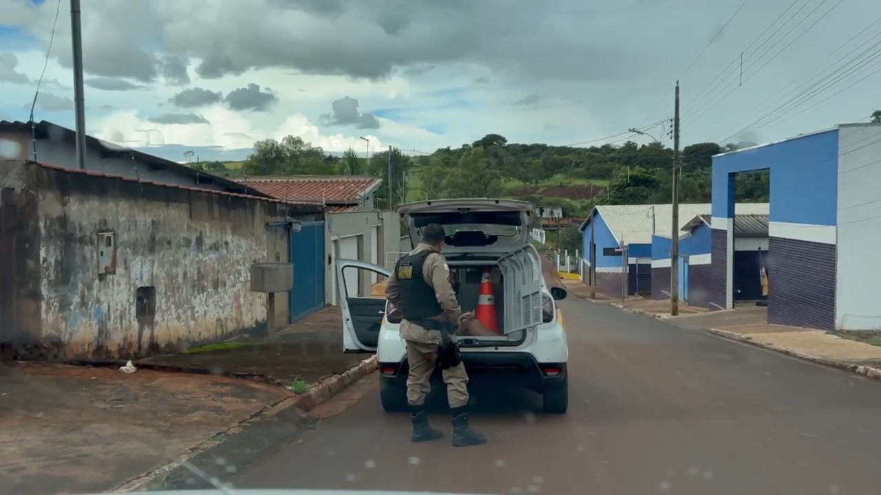Homem de 35 anos condenado por estupro de menina de 12 anos foi preso na casa de amiga logo após chegar do trabalho em MG