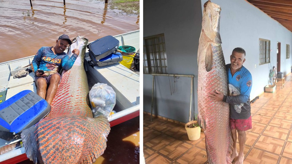 Odair Camargo, guia de pesca em Mira Estrela (SP), posa com os pirarucus capturados no Rio Grande nos dias 15 e 16: quase 300 kg de pesca no total  Foto: Arquivo pessoal