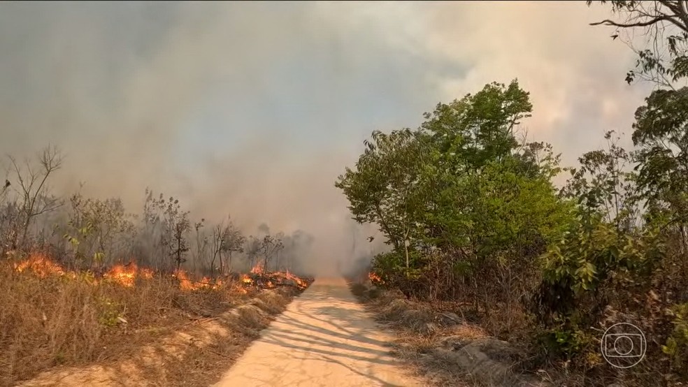 Área devastada por queimadas aumenta quase 80% no Brasil em 2024; Amazônia foi bioma mais afetado — Foto: Jornal Nacional/ Reprodução