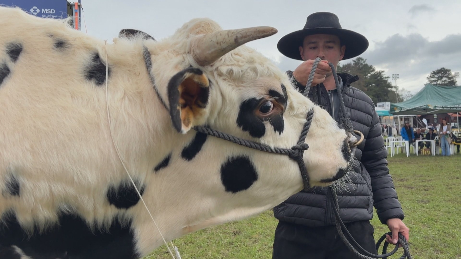Em feira agropecuária, produtores demonstram apreensão com bloqueio a carne brasileira: 'A União Europeia nos pegou de surpresa'
