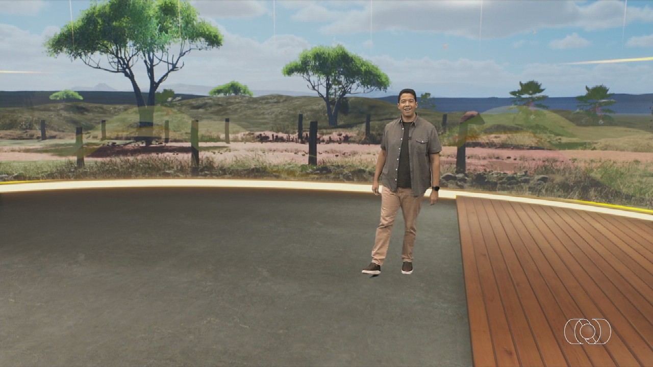 VÍDEOS: Jornal do Campo deste domingo, 18 de janeiro de 2026 