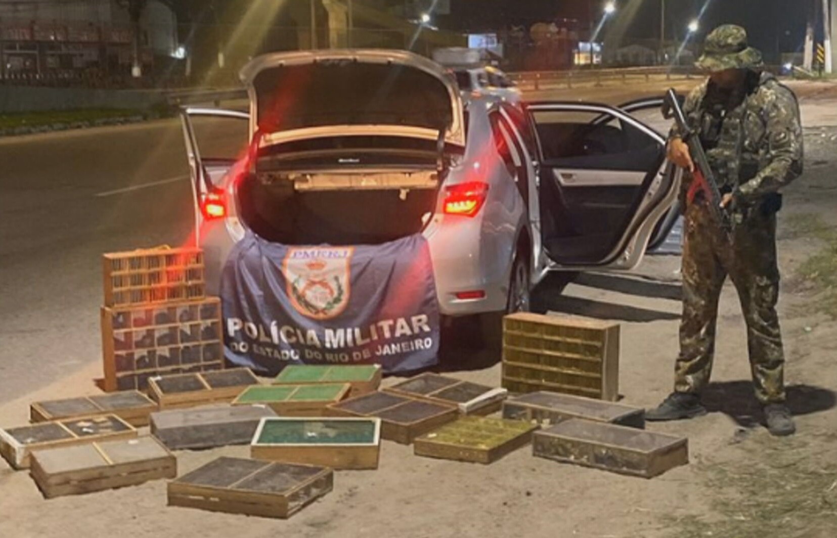 PF e PM apreendem 667 pássaros em carro na Rodovia Magé-Manilha