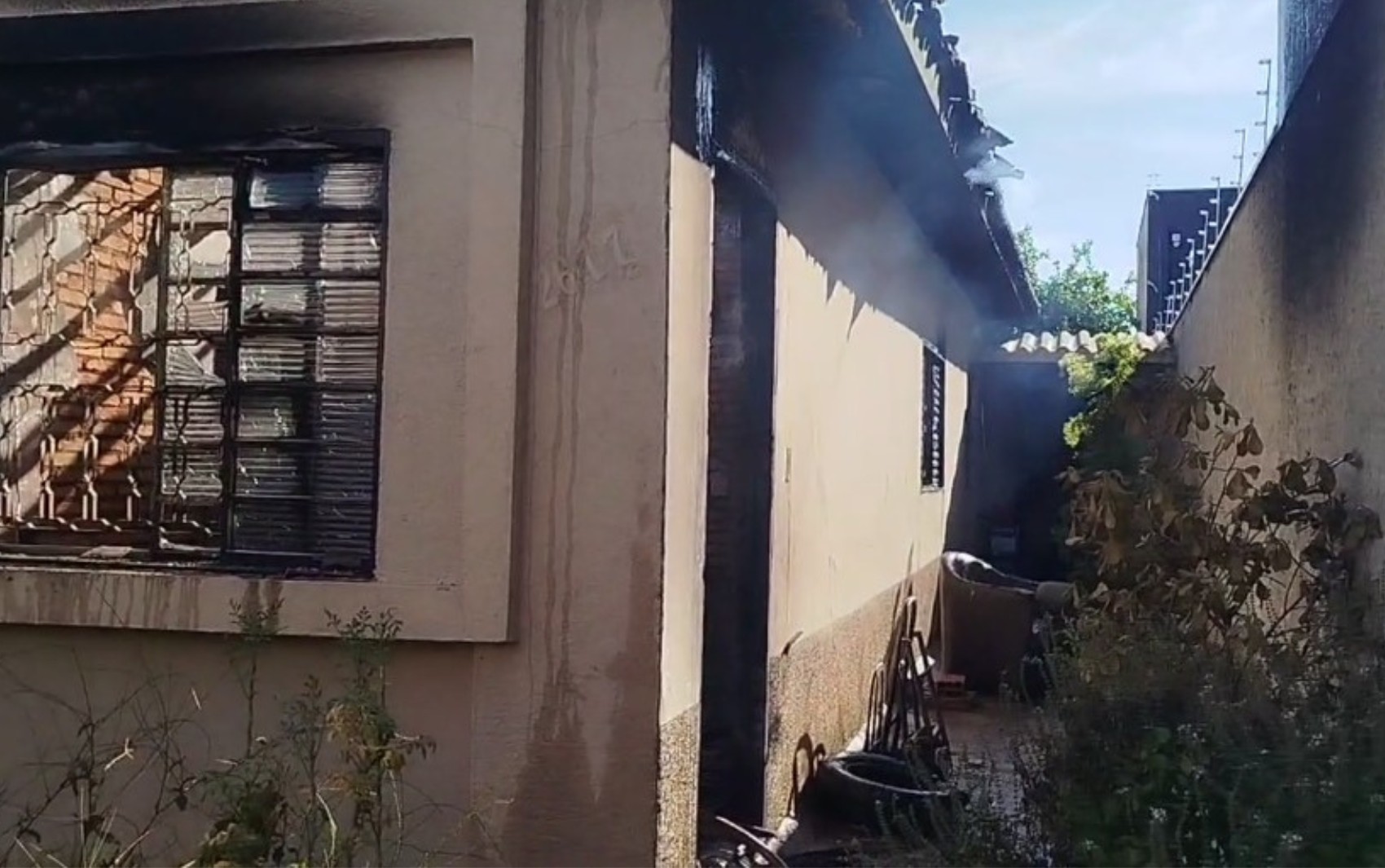 Gato e passarinho morrem após casa ser atingida por incêndio em Franca; VÍDEO