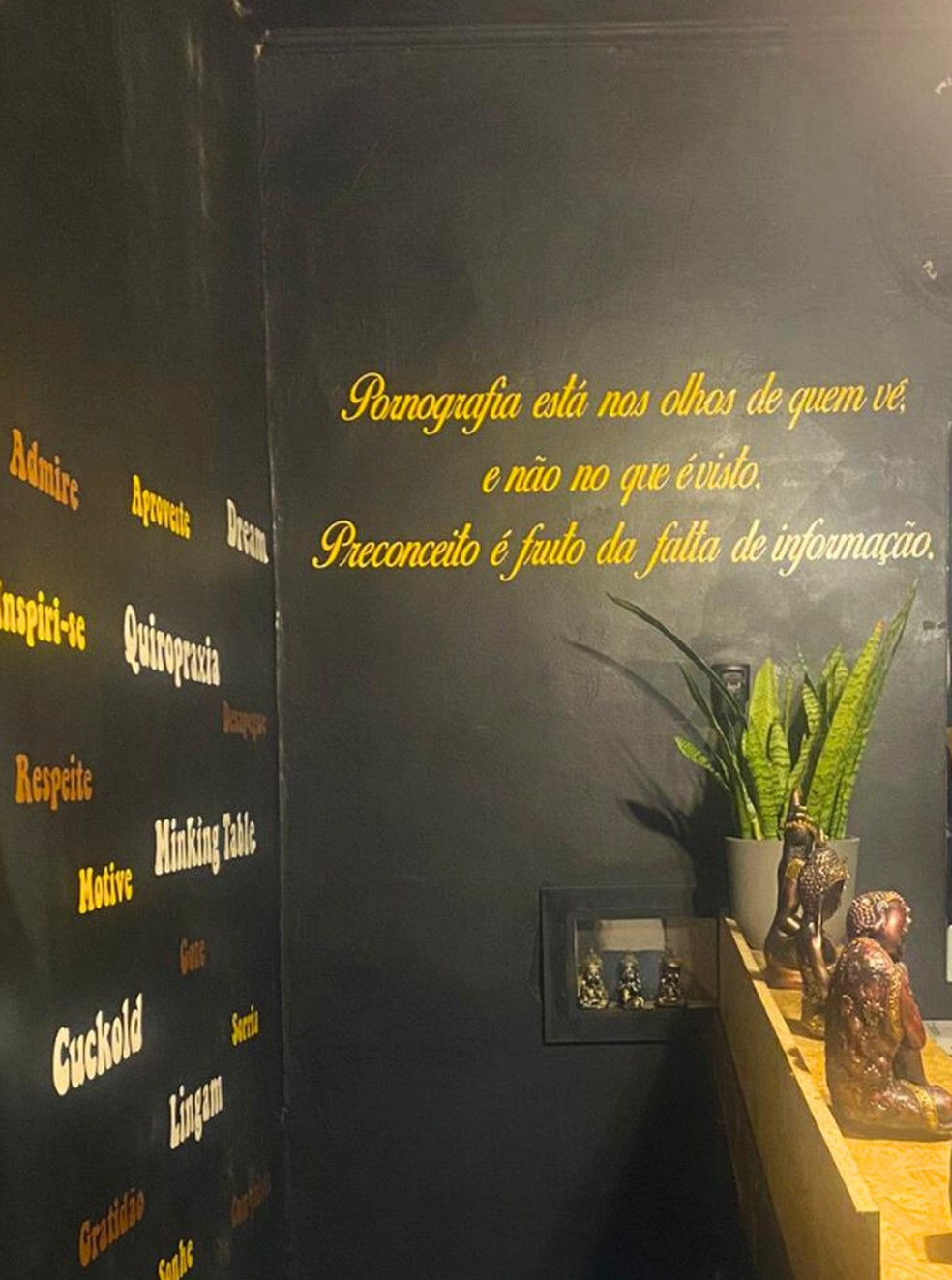 Clínica de estética e massagem era usada para exploração sexual e tinha instrumentos sadomasoquistas — Foto: Polícia Civil/Divulgação