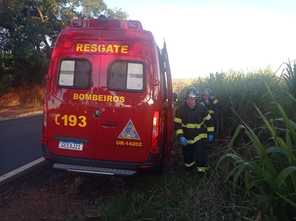 Acidente foi registrado na noite desta segunda-feira (12), em Teodoro Sampaio (SP) — Foto: Pontal News