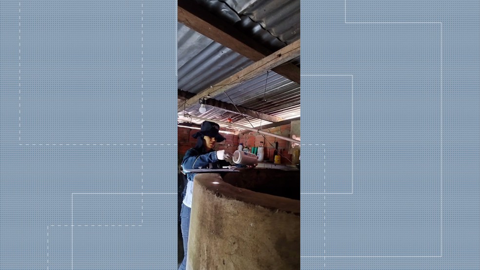 Acre está em situação de emergência por causa da dengue — Foto: Reprodução/Rede Amazônica Acre