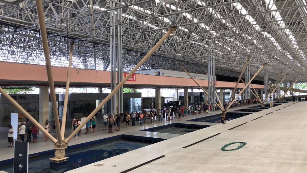 Espaço Cultural José Lins do Rego recebe atividades da Férias Funesc — Foto: Zuíla David/TV Cabo Branco