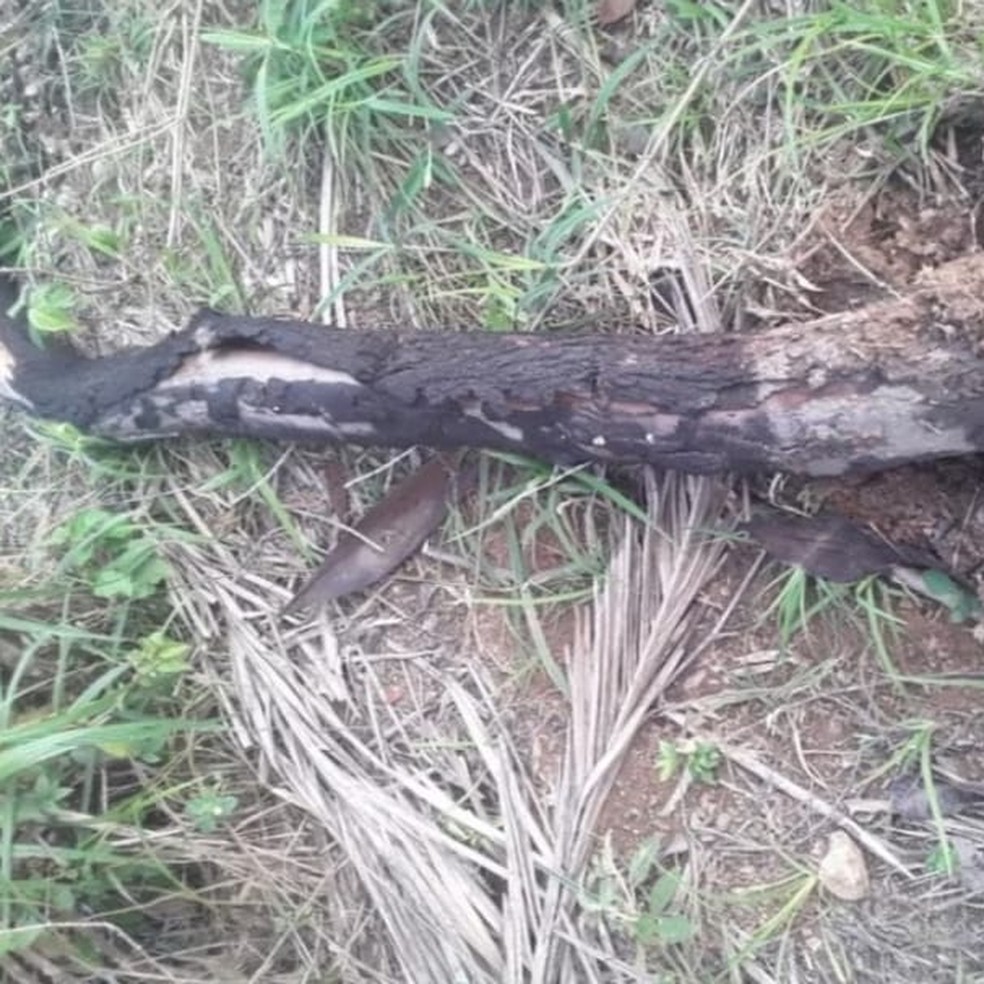 Cercas foram derrubadas por funcionários da empresa, em 2020 — Foto: Pai Duda de Candola/Arquivo pessoal
