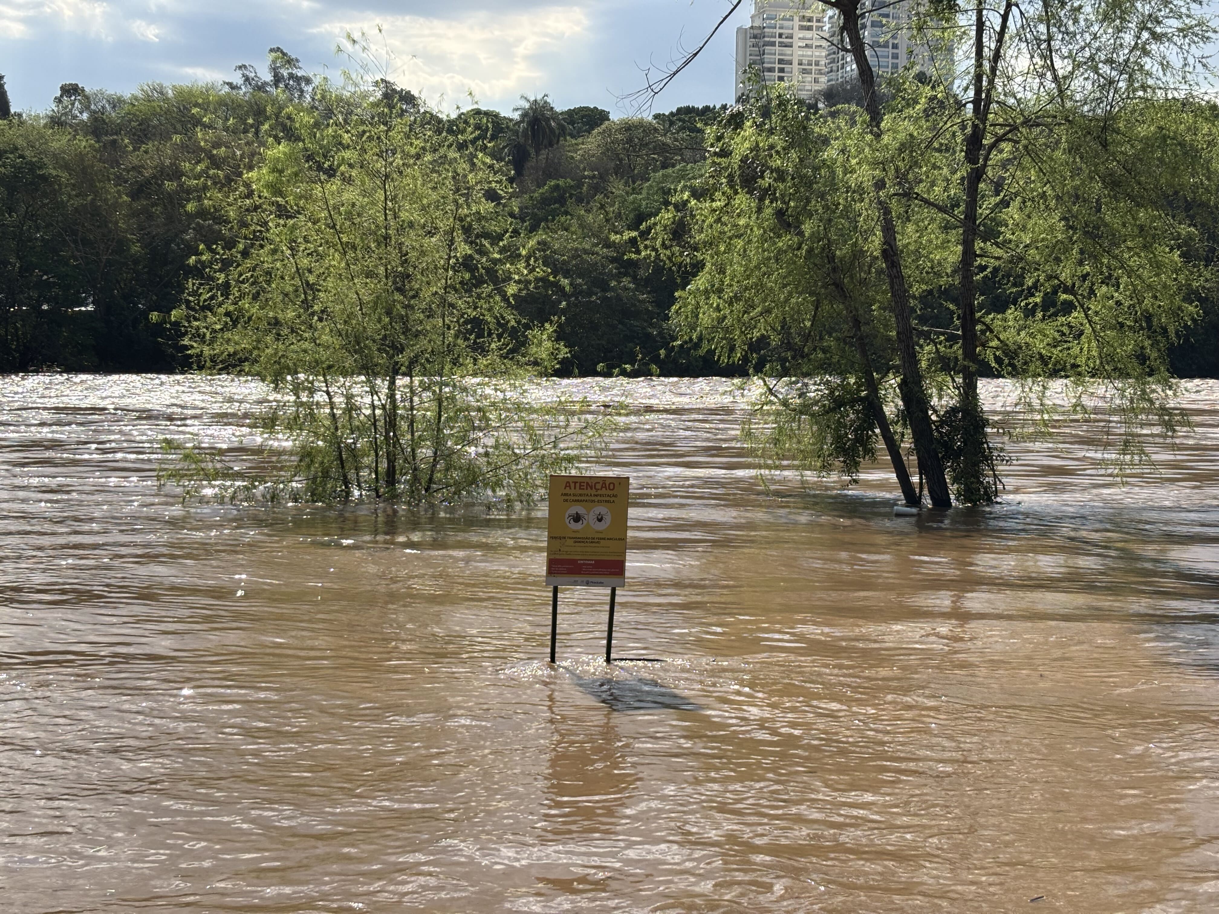 Com setembro mais chuvoso da década, Rio Piracicaba atinge vazão quase sete vezes maior que média