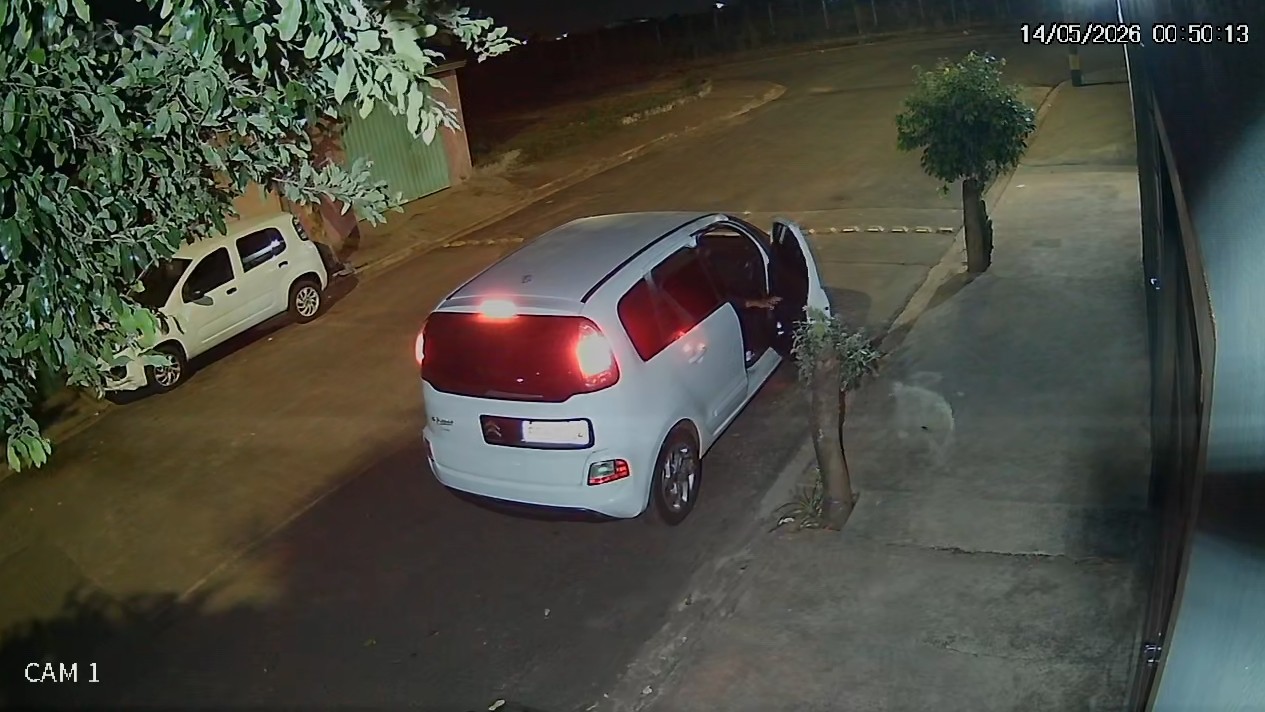 Vídeo: cachorro corre atrás de carro do tutor ao ser abandonado em Ribeirão Preto, SP