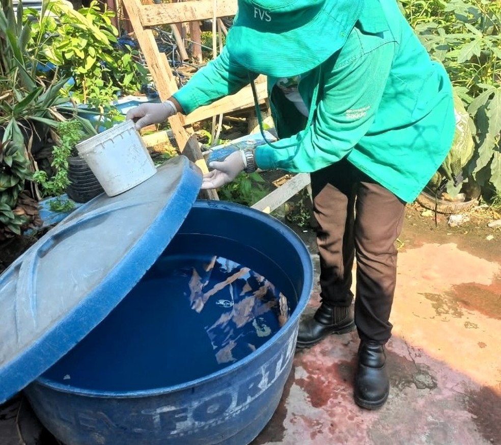 Ações de combate a dengue são realizadas pela Fundação de Vigilância em Saúde do Amazonas (FVS-AM). — Foto: Divulgação/FVS-AM