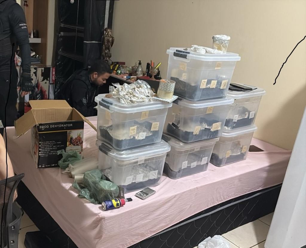 Operação contra tráfico prende 10 suspeitos de distribuir drogas sintéticas em MT e no DF 