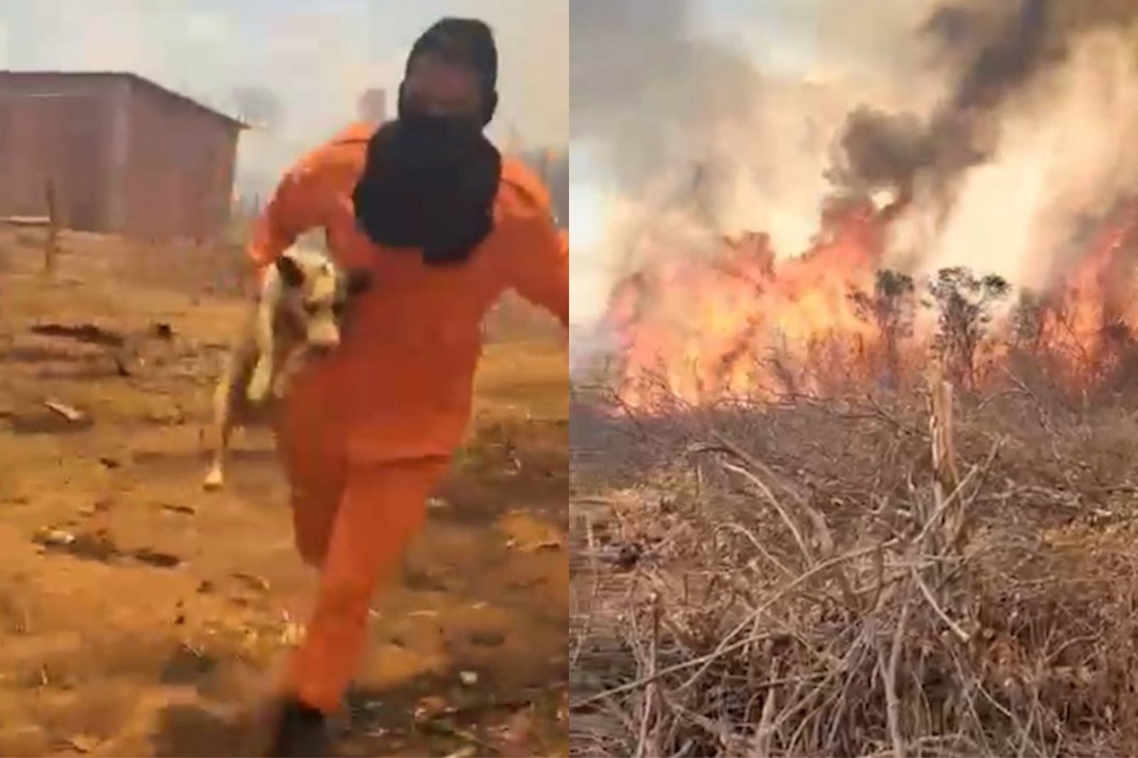Vídeo: bombeiro resgata cachorro cercado pelas chamas durante incêndio no Piauí