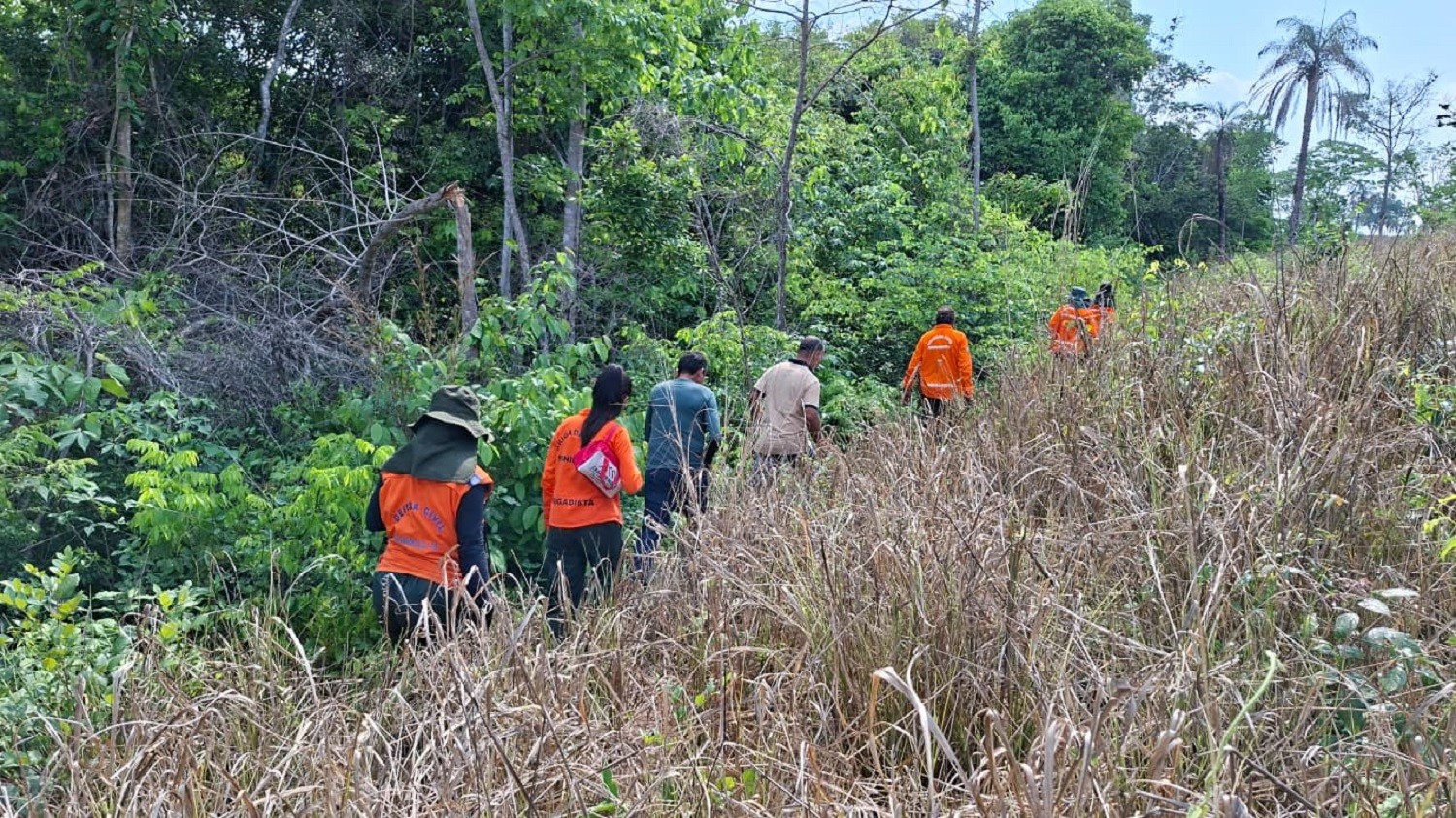 Bombeiros procuram idoso de 75 anos desaparecido há sete dias em área de mata de Aguiarnópolis
