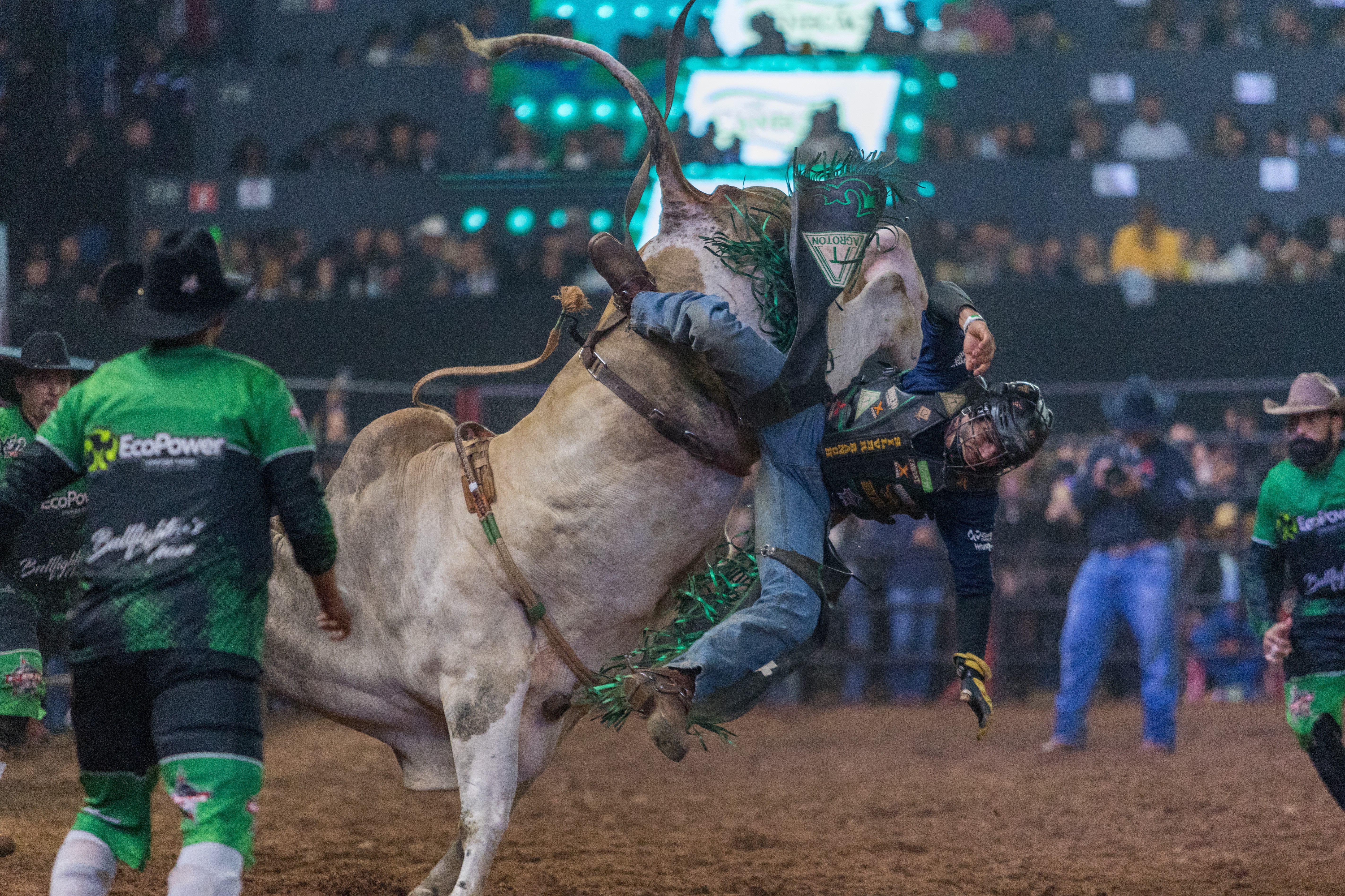 Rijproeven op het Americana Cowboy Festival — Foto: Thomaz Marostegan/g1