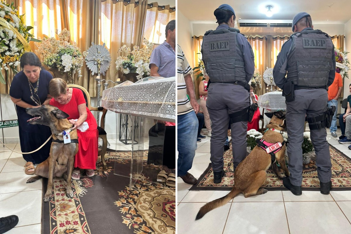 Idoso que realizou sonho de conhecer cadela do Baep morre um mês após encontro no interior de SP