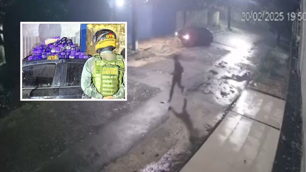 Ao todo, durante a ocorrência, os policiais militares apreenderam 52,2 quilos de maconha divididos em 105 tabletes.  — Foto: PRE/Divulgação