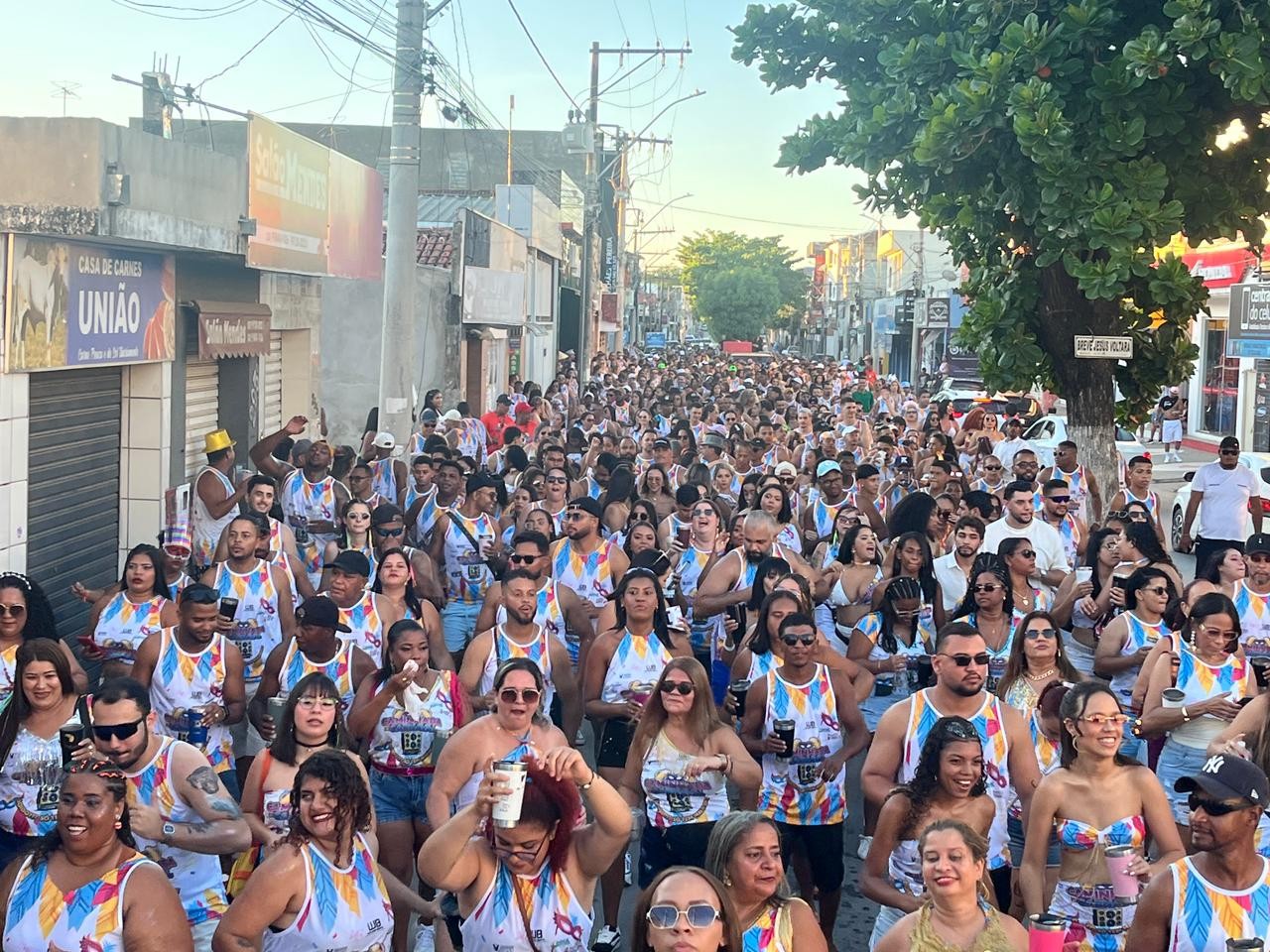 Com blocos tradicionais, carnaval de Januária reúne cerca de 5 mil foliões por dia