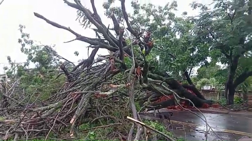 Chuva derruba árvores, alaga imóveis e causa deslizamentos em Campinas