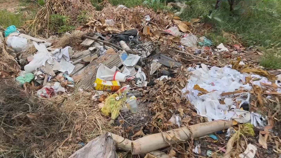 1 de 3
Mar&iacute;lia sanciona lei que paga recompensa por den&uacute;ncias de descarte irregular &mdash; Foto: TV TEM/Reprodu&ccedil;&atilde;o