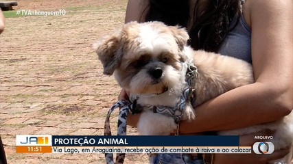 Araguaína recebe ação de combate à raiva e ao calazar; saiba como participar