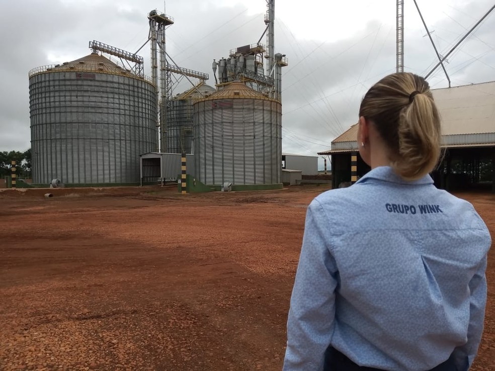 Eventos climáticos extremos no campo impactam a oferta de alimentos e chegam ao bolso do consumidor nas cidades. — Foto: Marcos Bravin/Canal Rural.