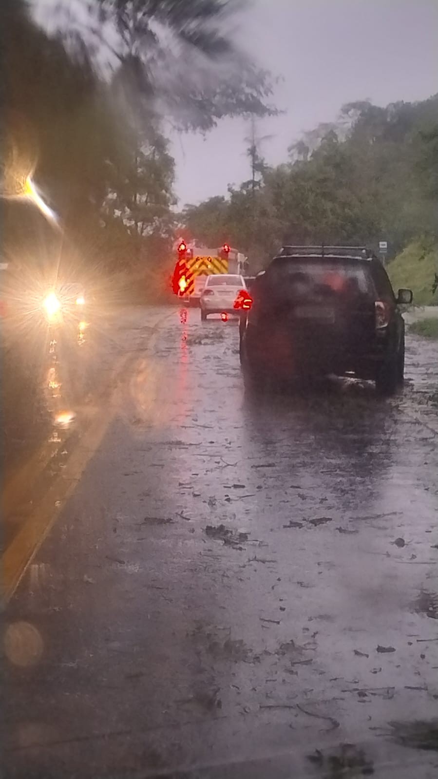 Árvore cai e interdita a rodovia SP-50, em São José dos Campos