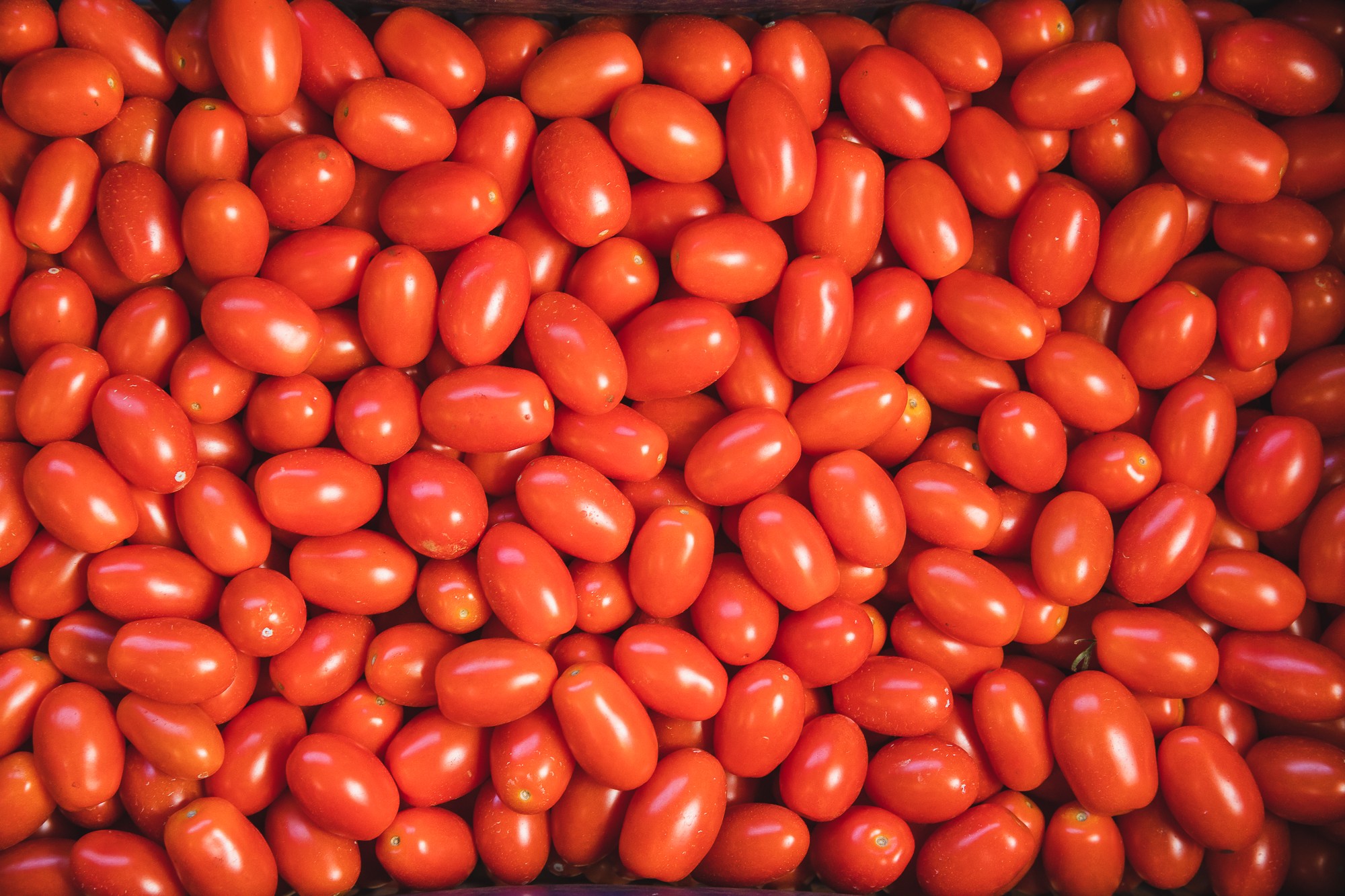 Preço do tomate sobe mais de 30% em abril e custo da cesta básica chega a R$ 657 em Natal