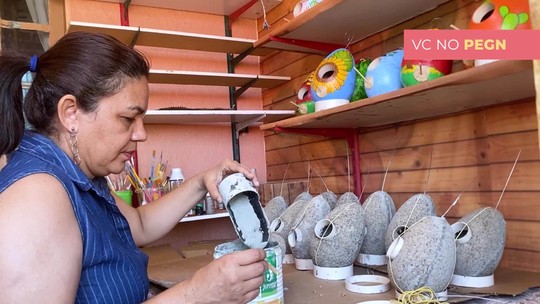 Mulher constrói casas para pássaros feitas à base de papelão e fatura R$ 5 mil por mês - Programa: Pequenas Empresas & Grandes Negócios 