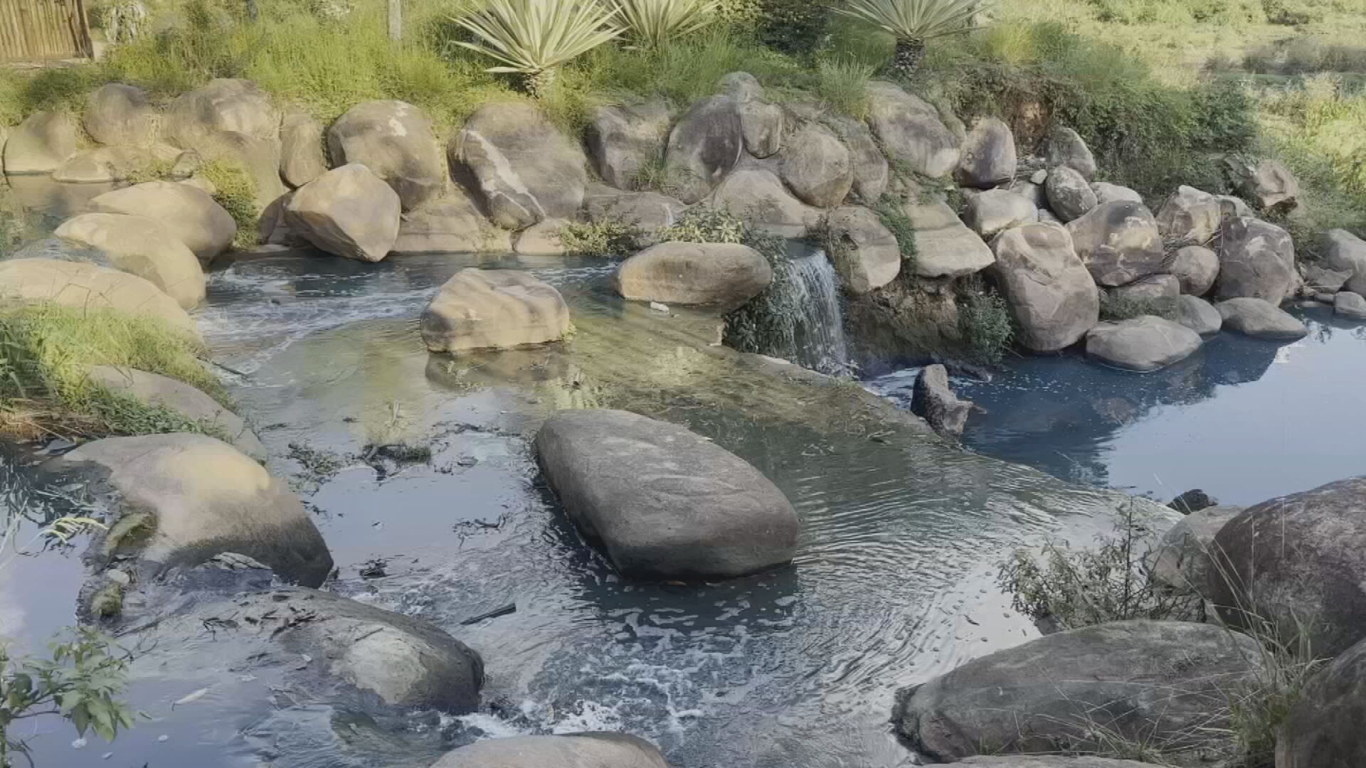 Coloração do córrego de Jundiaí melhora 9 dias após vazamento de corante que tingiu água e animais de azul