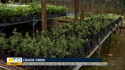 Palmas volta a distribuir mudas nativas gratuitamente no Viveiro Municipal