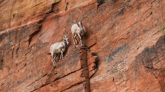 Nove dicas sobre como lidar com a ansiedade