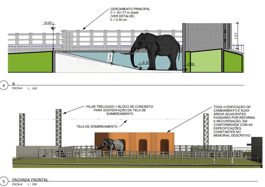 Projeto de R$ 3,1 milhões para recinto do elefante Sandro em Sorocaba levou 3 anos e segue travado na prefeitura