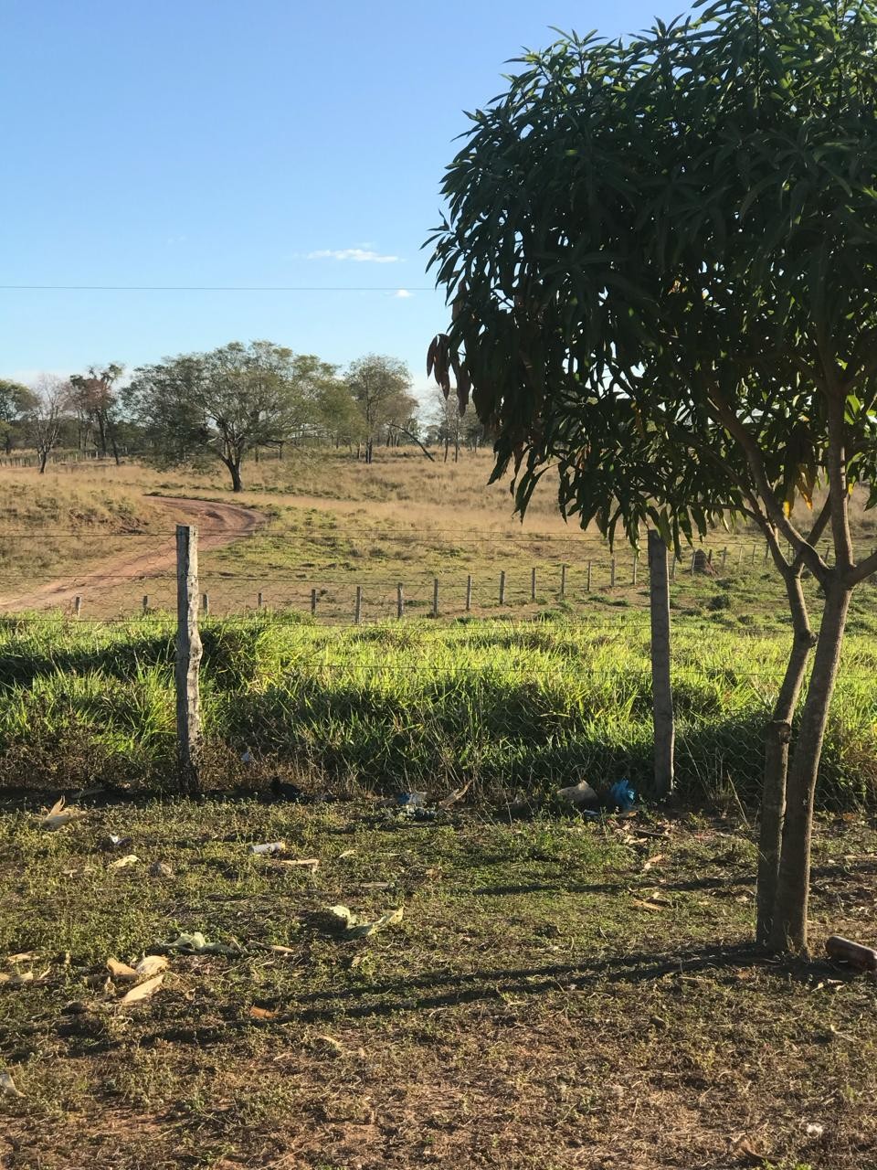 Equatorial Maranhão orienta sobre construções adequadas de cercas de arame