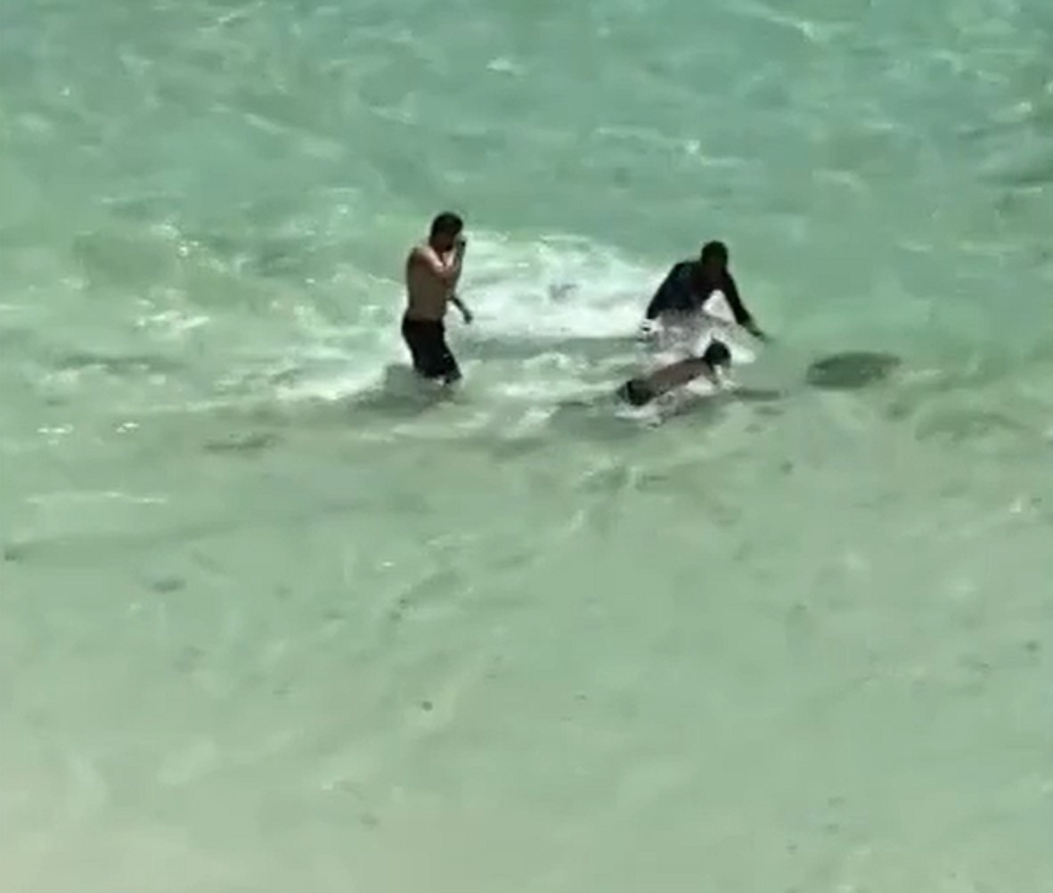 Vídeo flagra tartaruga marinha fugindo da perseguição de banhistas em Arraial do Cabo