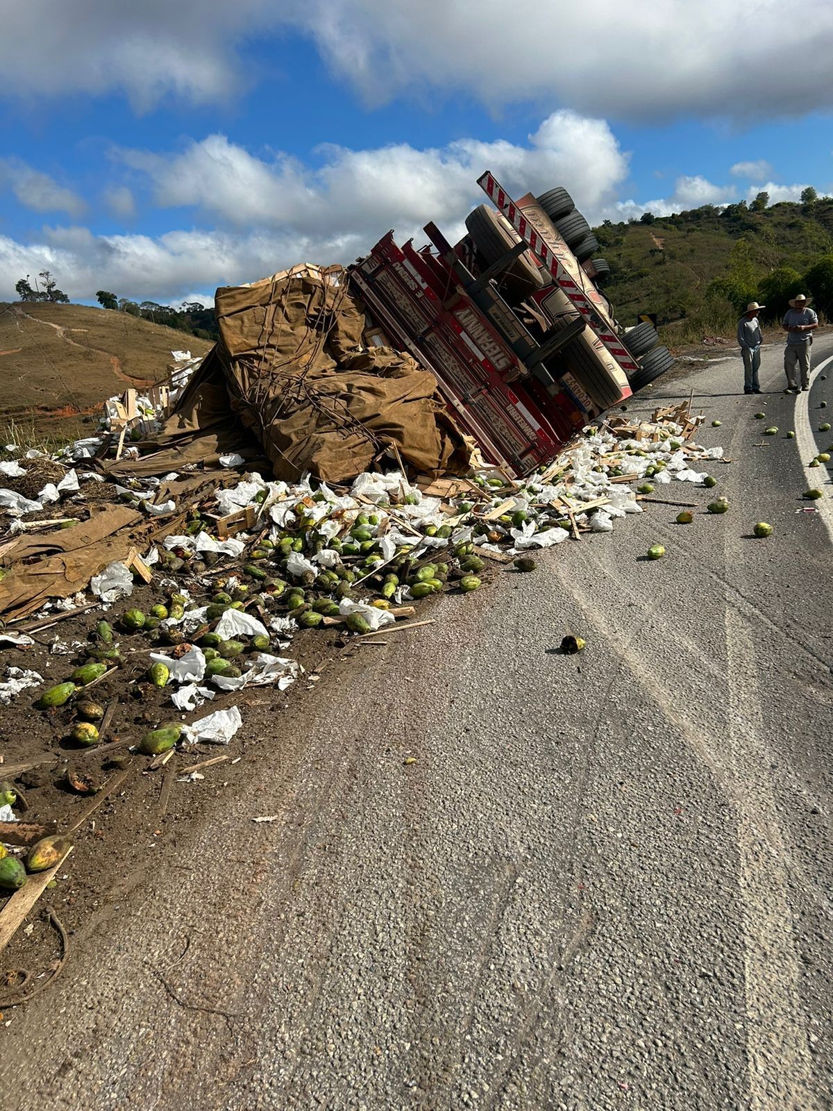 Criança de 10 anos morre após caminhão tombar na MGC-418, em Teófilo ...