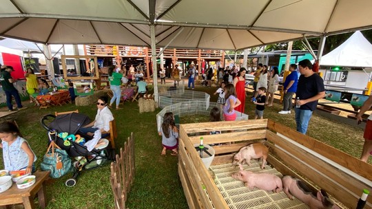 Expogrande 2025: maior evento agropecuário de MS começa hoje - Foto: (Divulgação/Acrissul)