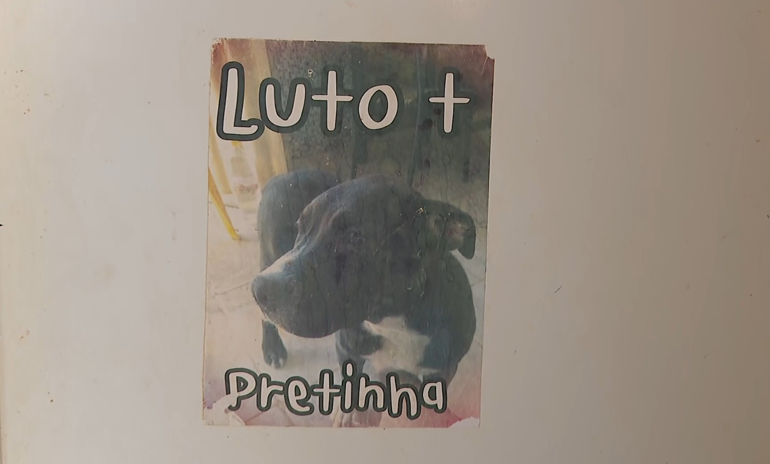 Justiça condena estado a indenizar em R$ 12 mil tutores de cachorra morta a tiros por PM no interior de SP