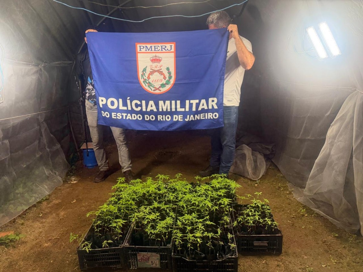 Duas mulheres são presas em estufa com 190 pés de maconha em Angra dos Reis