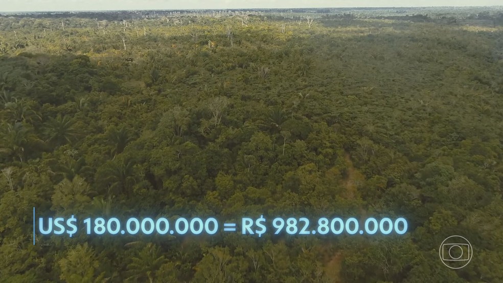Empresas e governos estrangeiros vão comprar quase R$ 1 bilhão em créditos de carbono na Amazônia brasileira — Foto: Reprodução/TV Globo