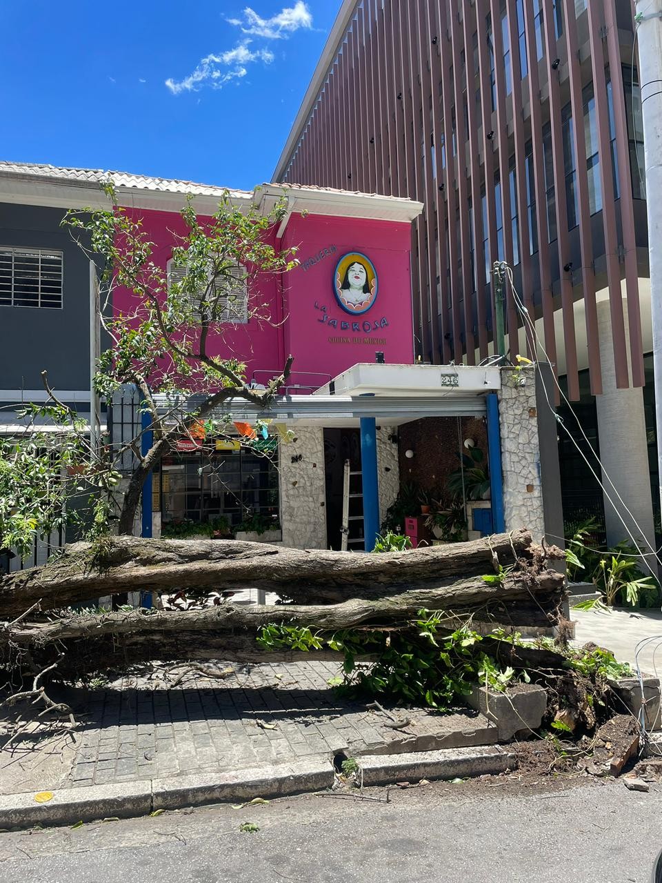 Restaurante em Pinheiros está sem energia há 7 dias, acumula R$ 50 mil em prejuízos e cobra resposta da Enel