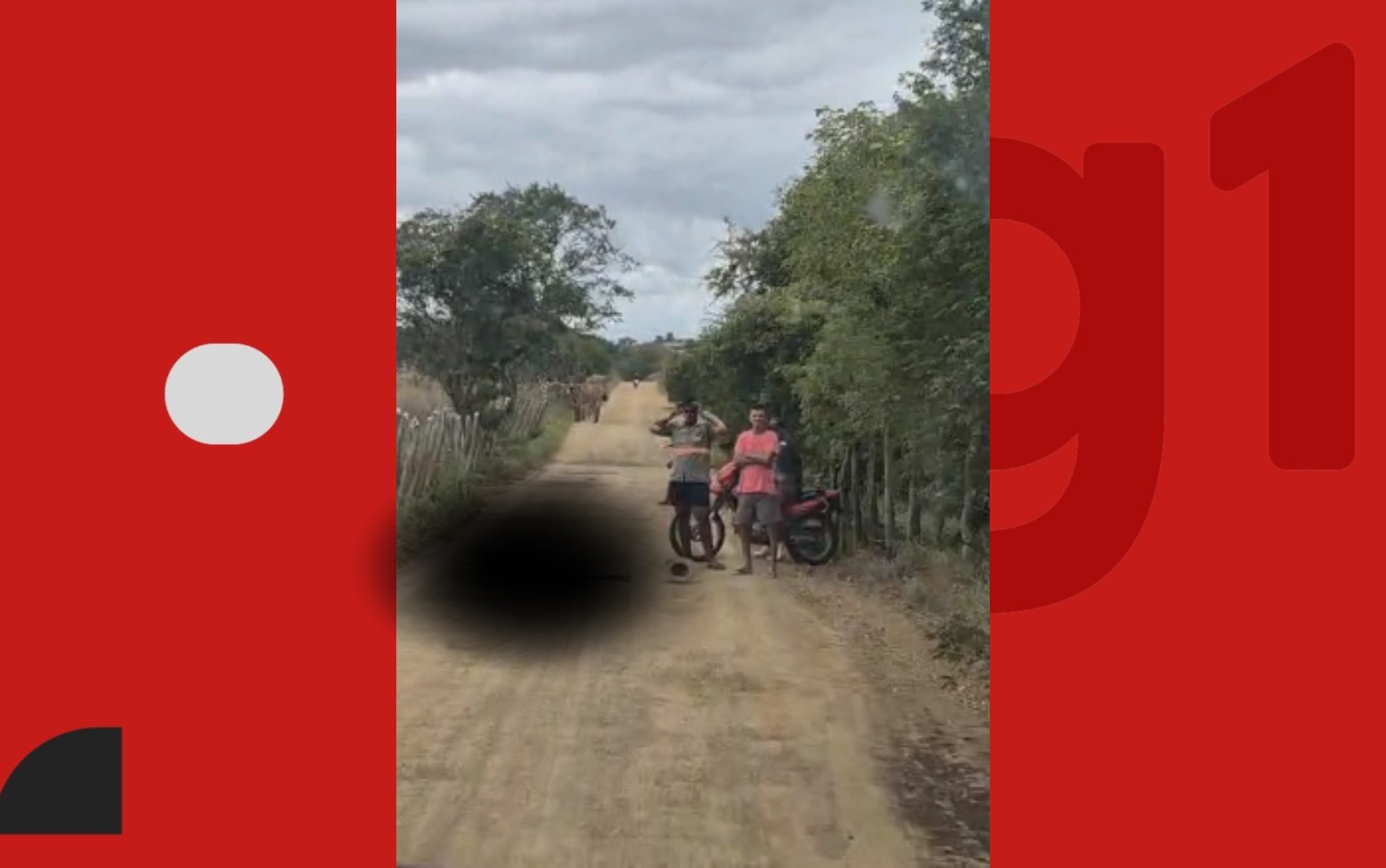 Agricultor de 81 anos morre após cair de burro no interior da Bahia
