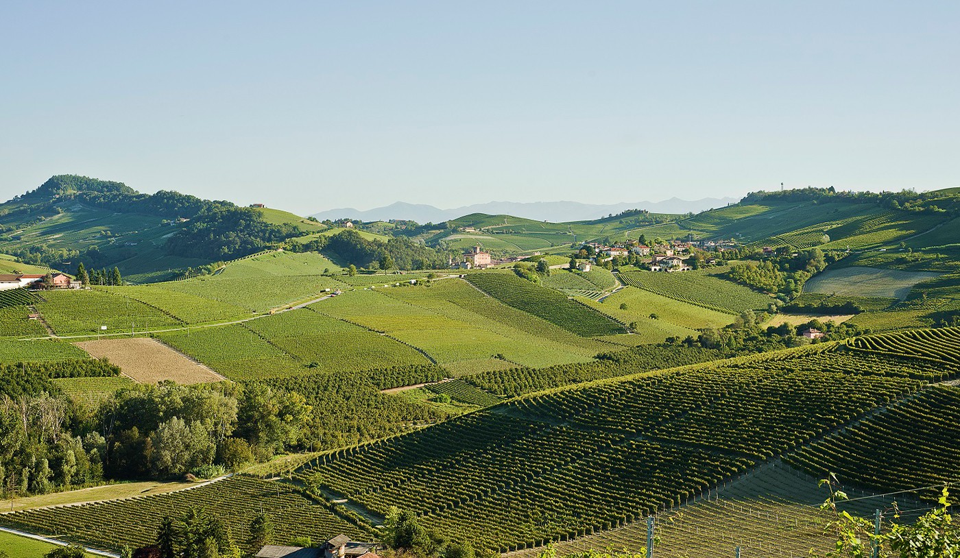Vinhos DOC x DOCG: entenda as diferenças entre as classificações