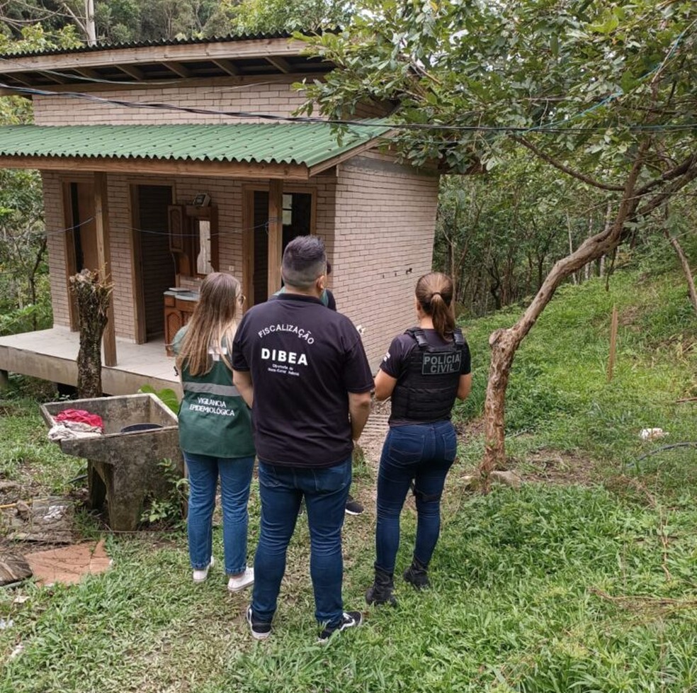 Dona de hospedagem pet é presa suspeita de deixar cães acorrentados em SC — Foto: Polícia Civil/ Divulgação