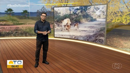 Confira os destaques do Jornal do Campo deste domingo (14)