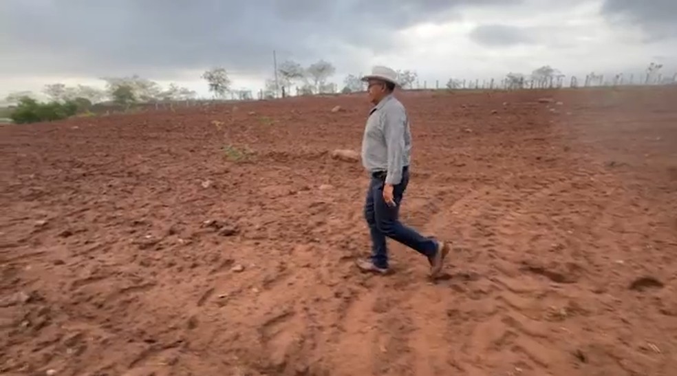 José Vicente, produtor de milho em AL, caminha pela lavoura sem milho — Foto: Reprodução/ TV Gazeta
