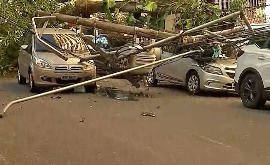 Carros são atingidos por árvore, poste e fios em Belém; VÍDEO 