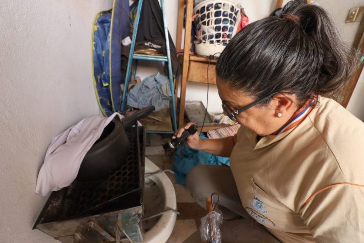 Fátima do Sul registra 99 casos ativos de chikungunya, aponta boletim da SES