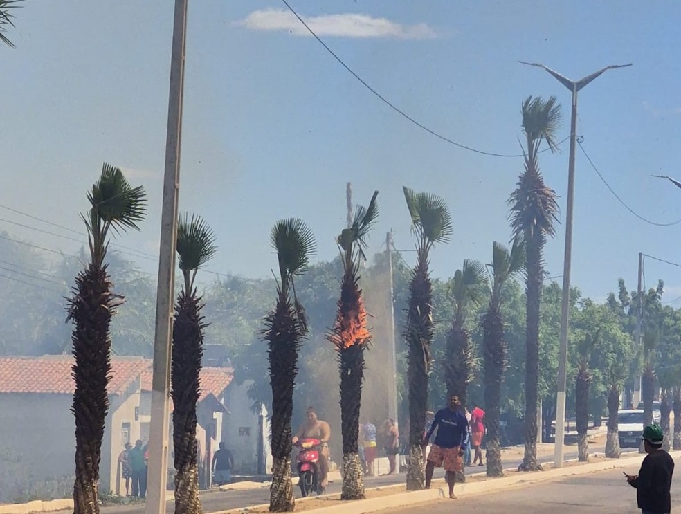 Fogo chegou a atingir árvores no canteiro central da pista — Foto: Defesa Civil de Carnaubais