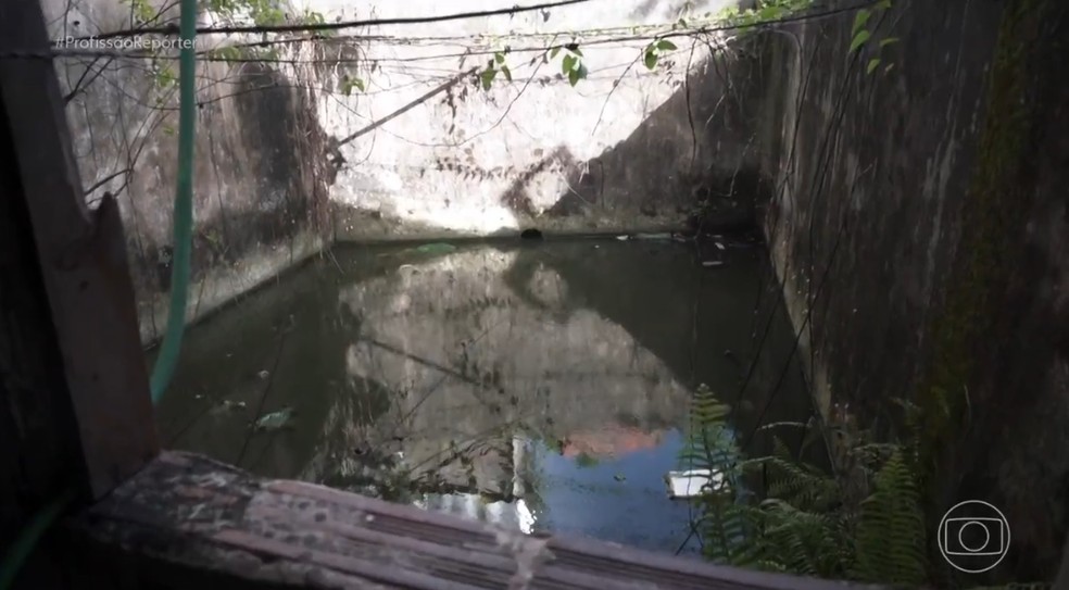 quintal de Maria Alzira, que agora está cheio de água esverdeada — Foto: Reprodução/TV Globo